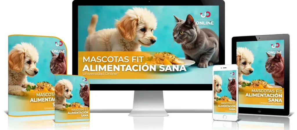 MASCOTAS FIT: Alimentación Sana